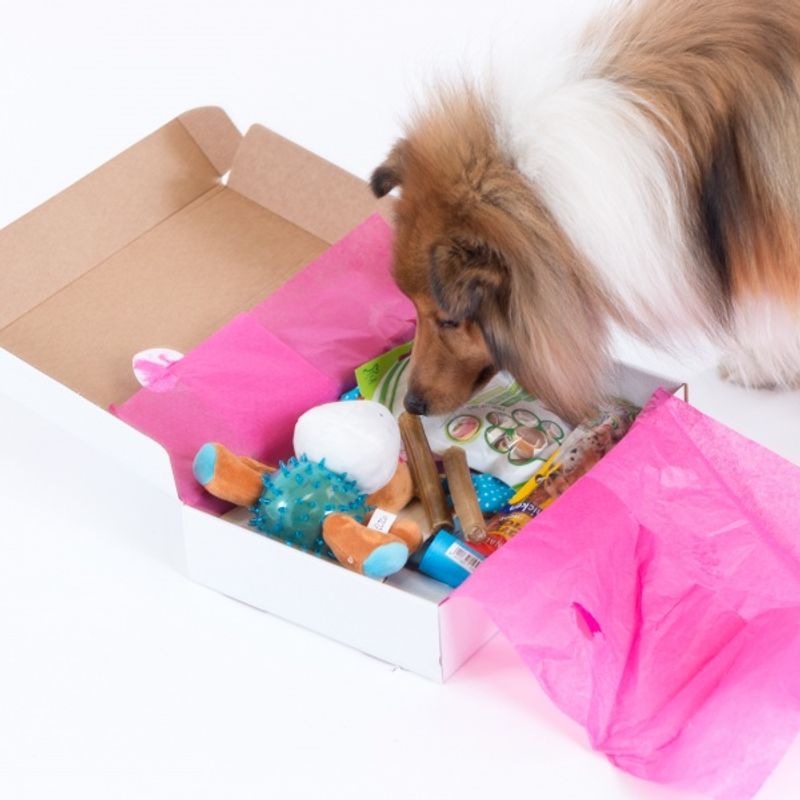 Poteklubben Forundringspakke Hund