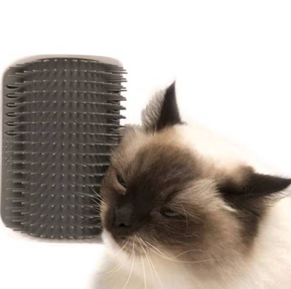 Hovedbilde Klø- og børstehjørne for katt - selvklebende