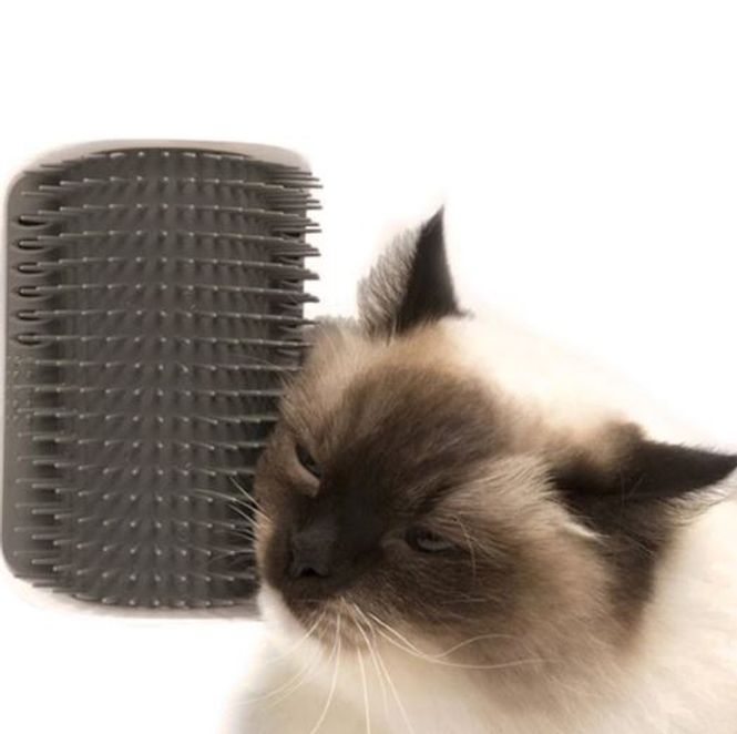 Hovedbilde Klø- og børstehjørne for katt - selvklebende