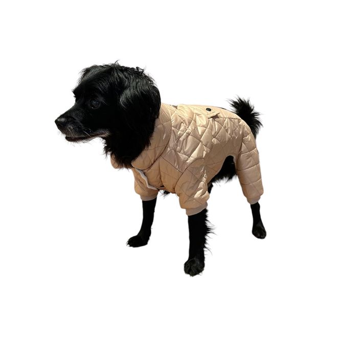 Hovedbilde Beige vinterdress til hund