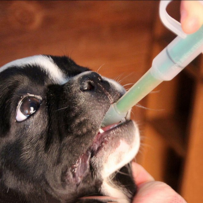 Hovedbilde Medisinsprøyte til hund og katt: for piller og væske
