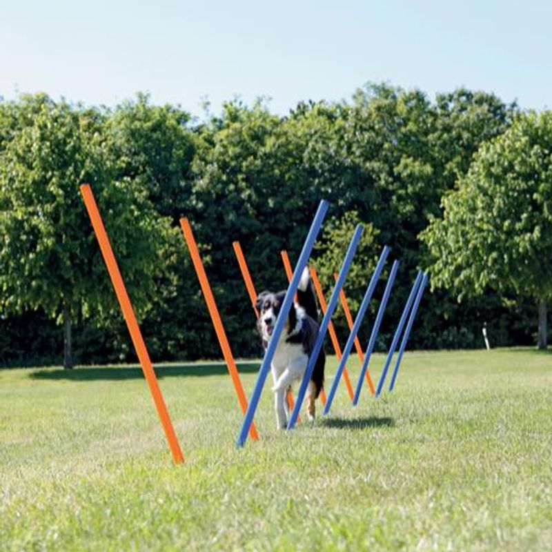 Agility Slalompinner
