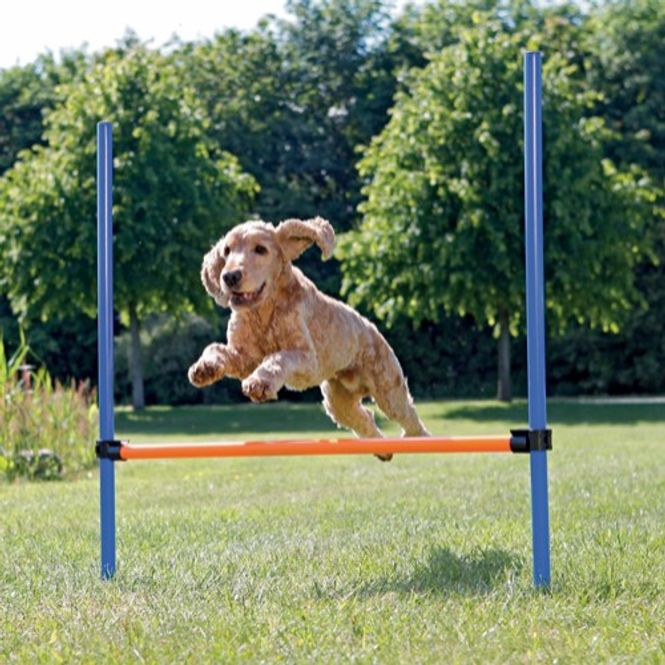 Hovedbilde Agility Hinder