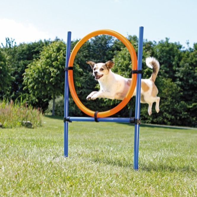 Hovedbilde Agility Hoppering