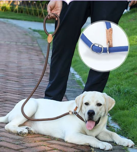 Hovedbilde Beige slip-lead hundelenke med halsbånd - 2 str