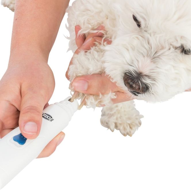 Hovedbilde Klotrimmer - Slipebasert kloklipper for hund og katt