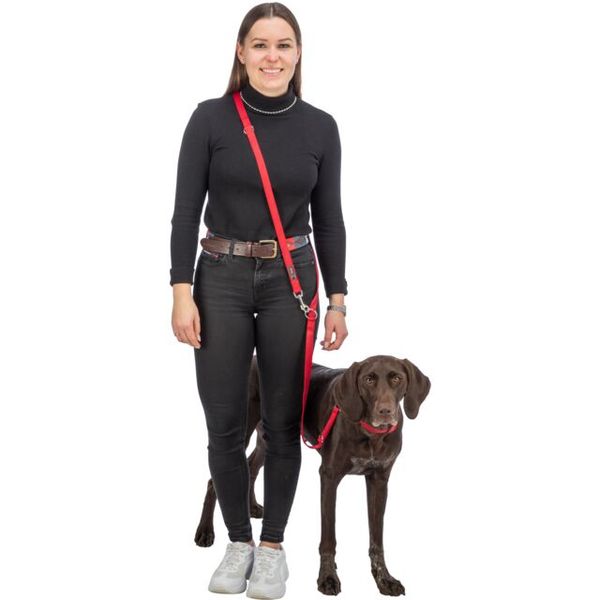 Hovedbilde Premium justerbar hundelenke - Sage