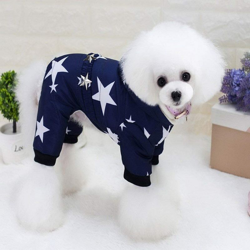 Blå vinterdress med stjerner til hund