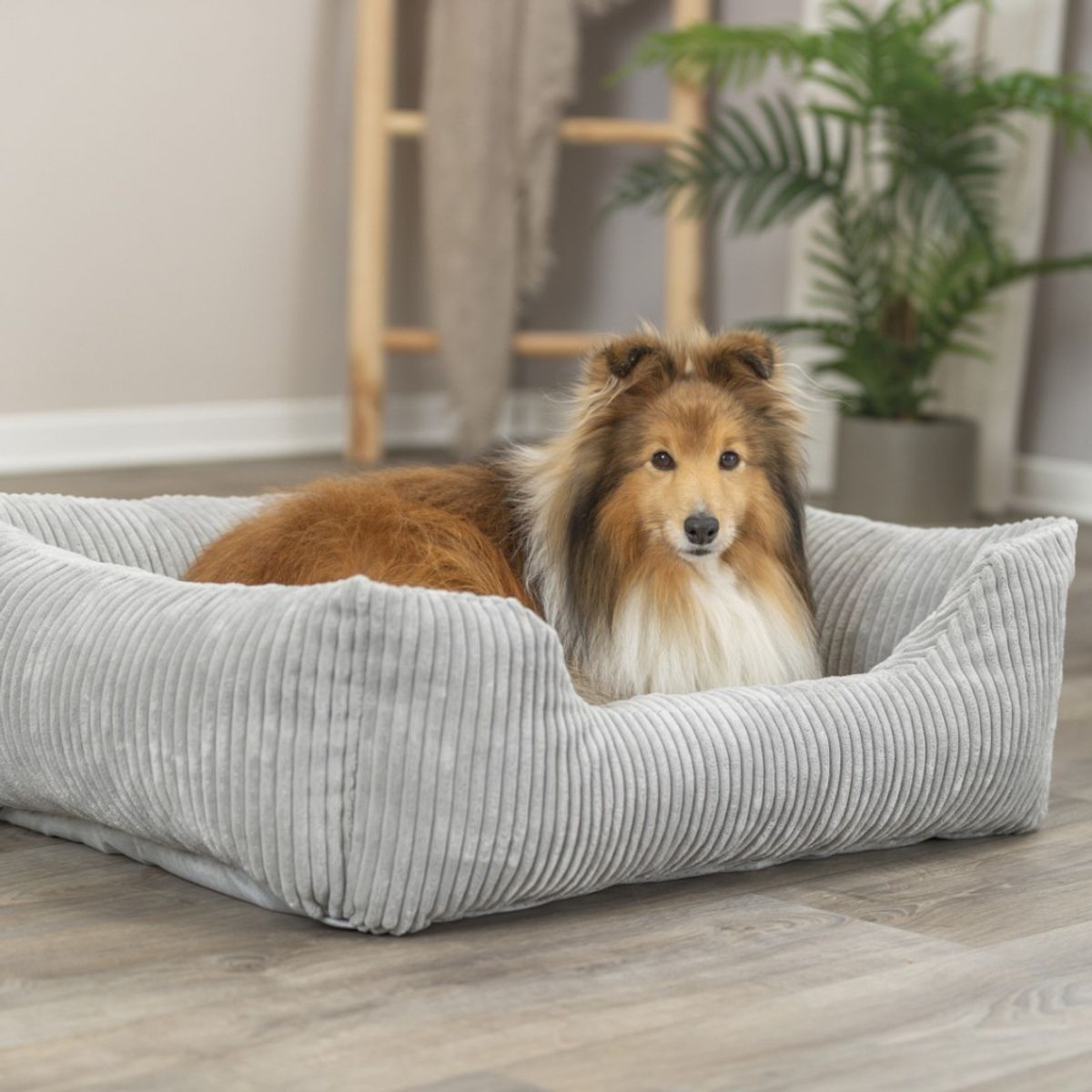 Mellomgrå ortopedisk cord hundeseng 