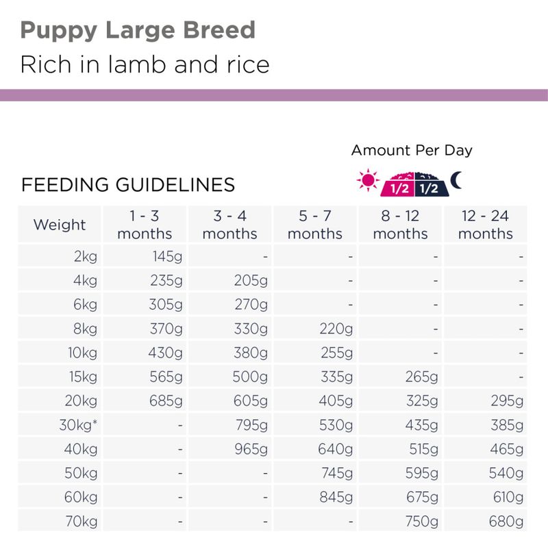 Eukanuba Puppy Large Breed Lam & Ris 12kg