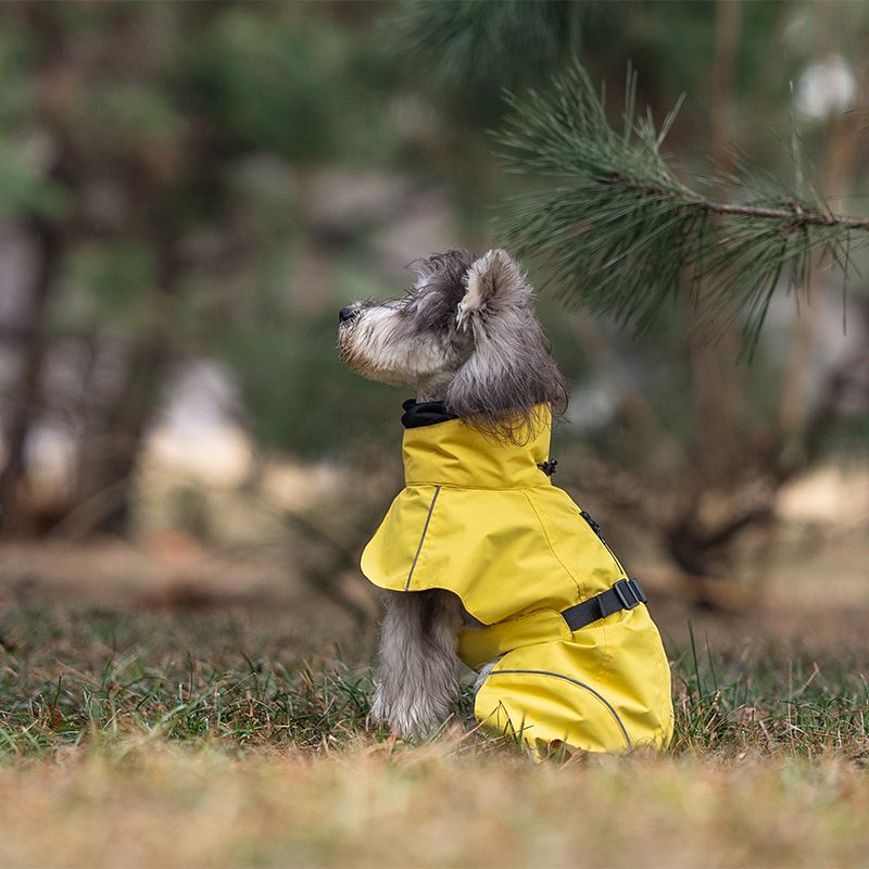 Gult hundedekken - vann og vindtett