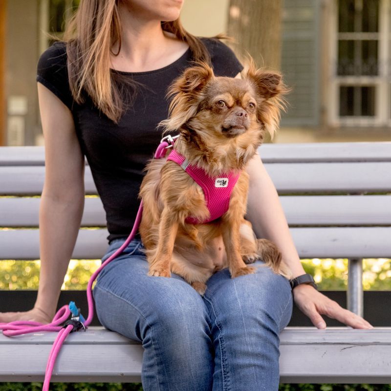 Curli Stretch Comfort Lenke - Fuchsia