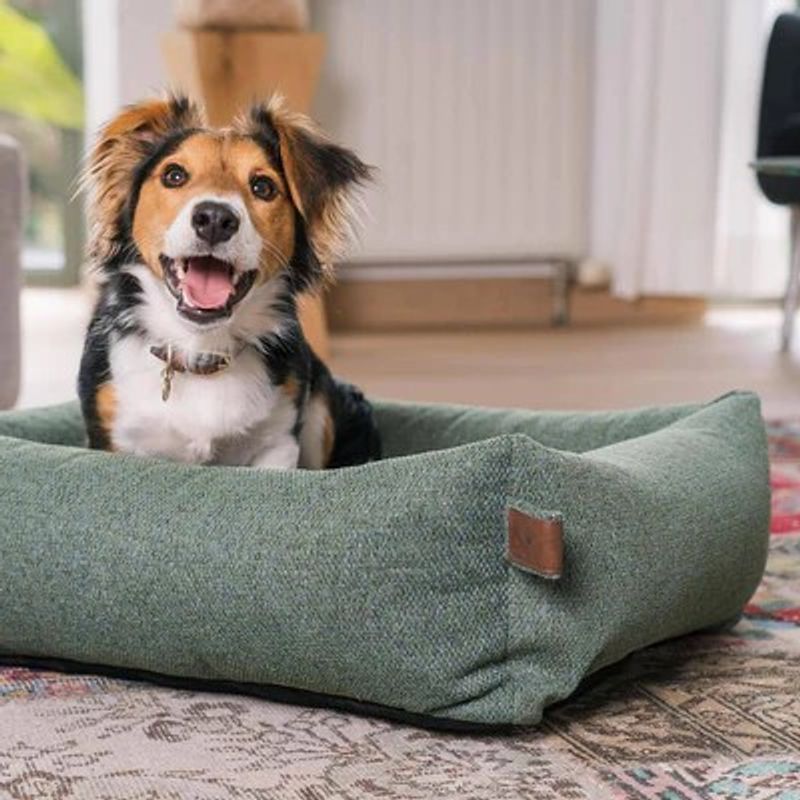 Fantail hundeseng Snug Origin Botanical Green, Str S: 70 x 55 cm