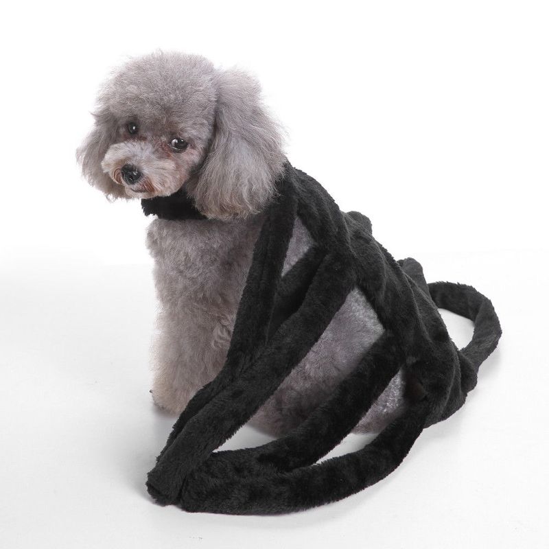 Edderkopp kostyme til hund