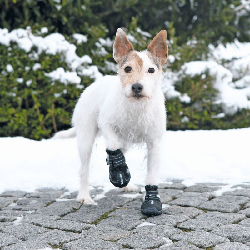 Sorte walker active hundesko 2pk
