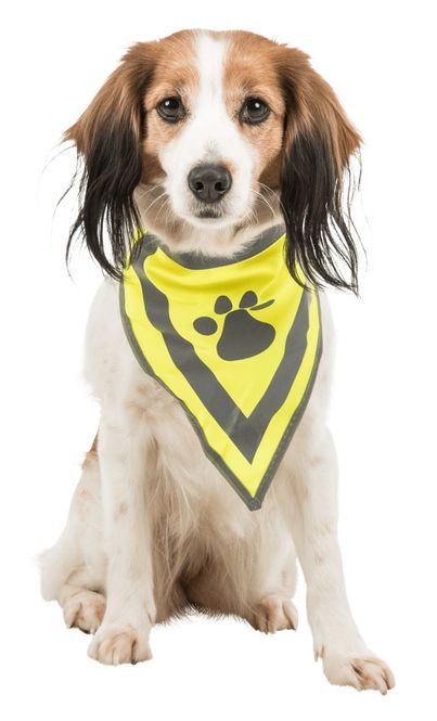 Hovedbilde Gul refleks bandana for hund, 3 str