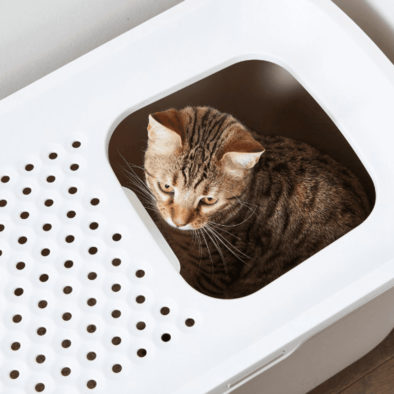 Kattedo med toppinngang - beige