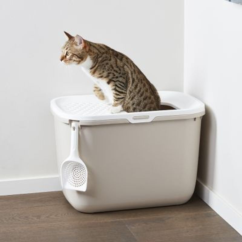 Kattedo med toppinngang - beige