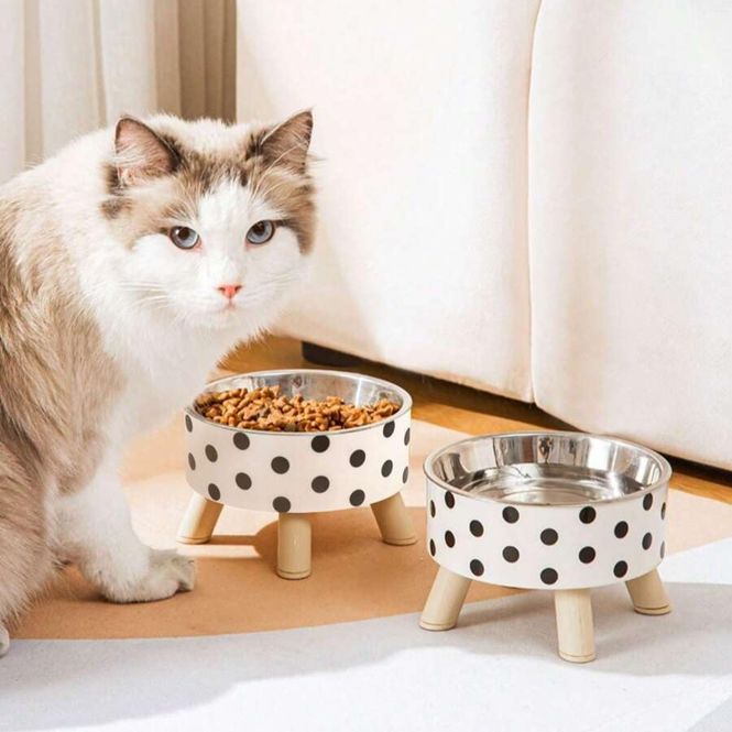 Hovedbilde Minimalistisk polkadot hundeskål med bein