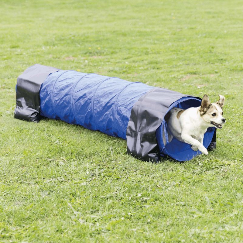 Agilitypakke - liten hund
