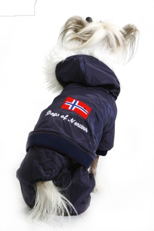 Vinterdress til hund – Dogs of Norway hundedress