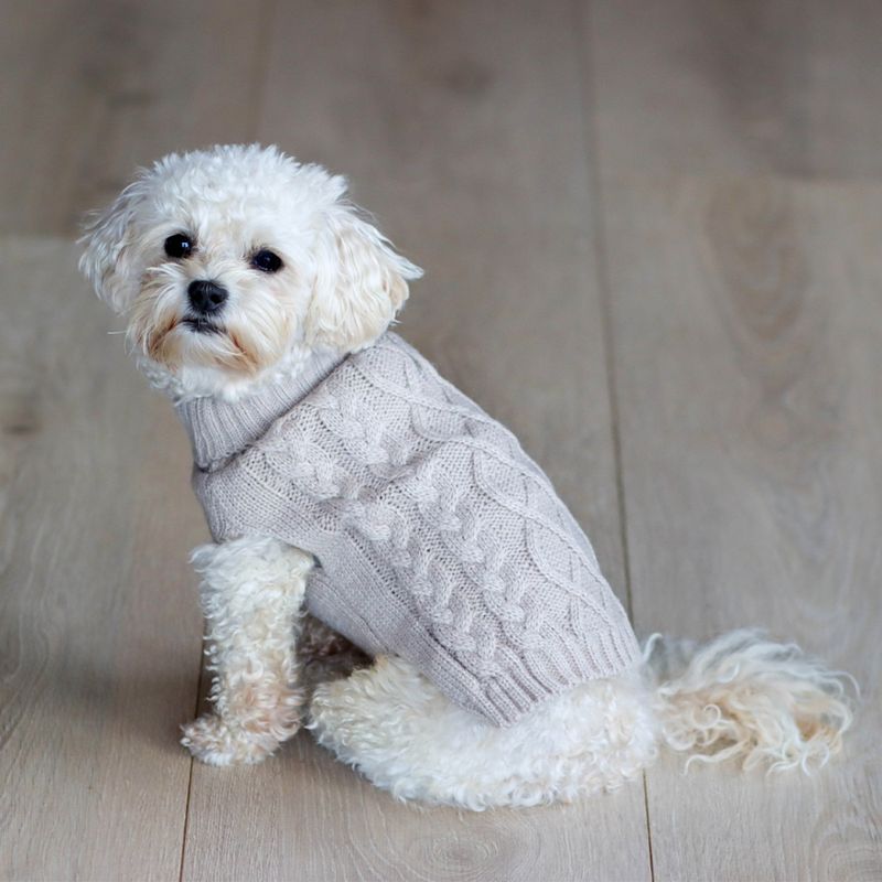 Beige strikket hundegenser 