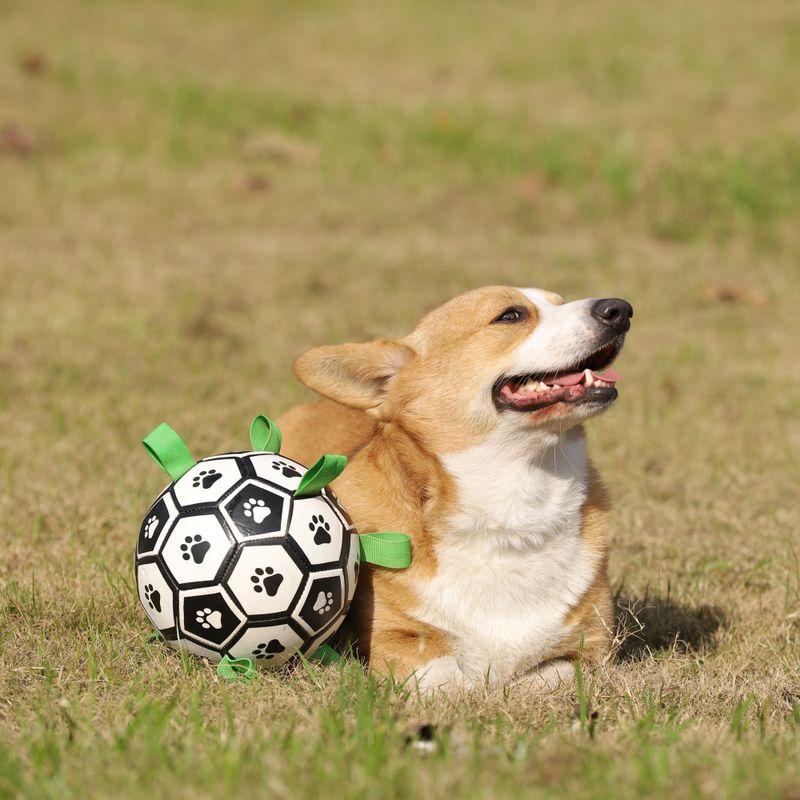 Oppblåsbar fotball til hund - solid, spretten ball for aktiv lek og trening, Ø: 15 cm