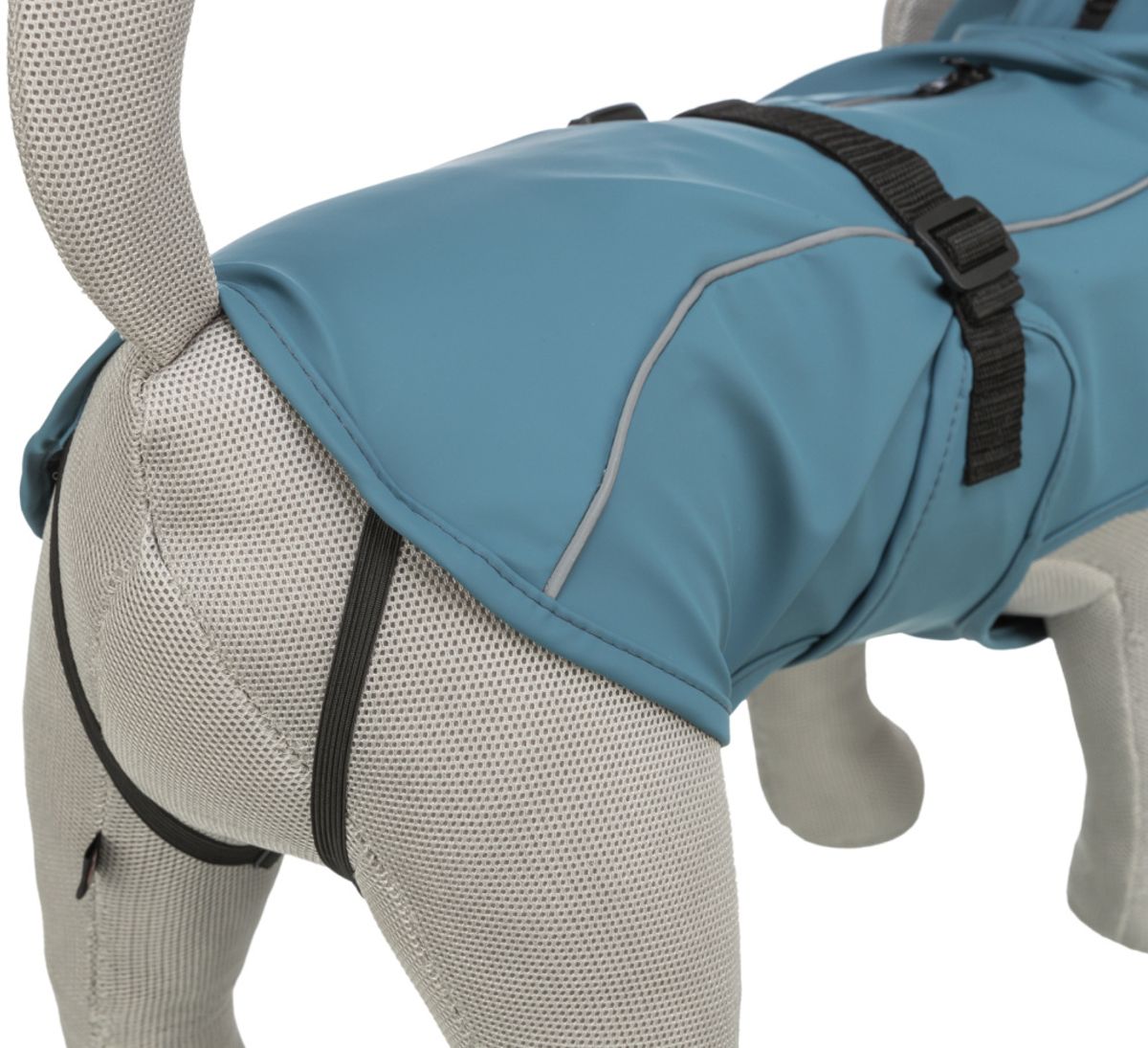 Petrol regndekken til hund