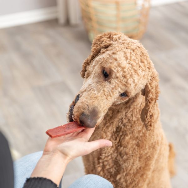 Hovedbilde PREMIO Fileter med biff til hund