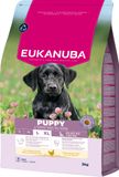Hovedbilde Eukanuba Puppy Large Breed kylling 3 kg