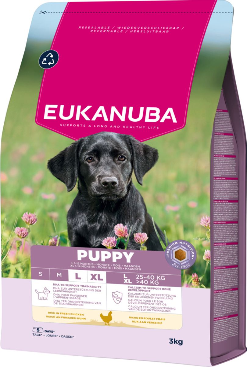 Eukanuba Puppy Large Breed kylling 3 kg