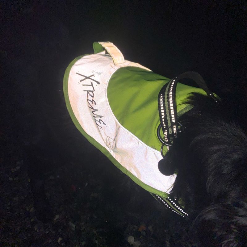 Xtreme Refleksvest for hund