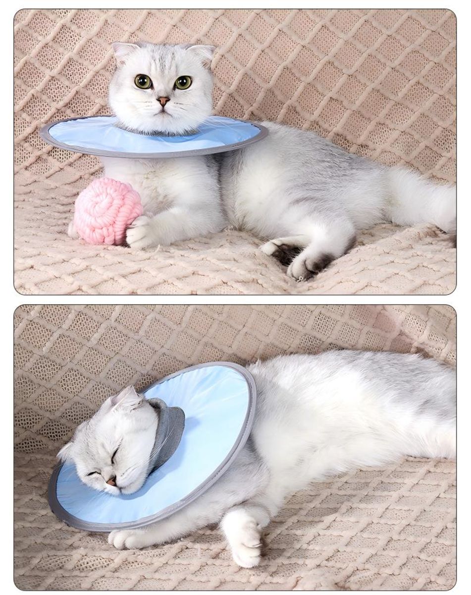 Blå Elizabeth sårkrage til hund og katt