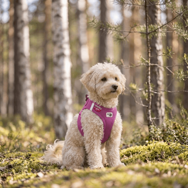 Hovedbilde Curli Clasp Air Mesh hundesele - Fuchsia