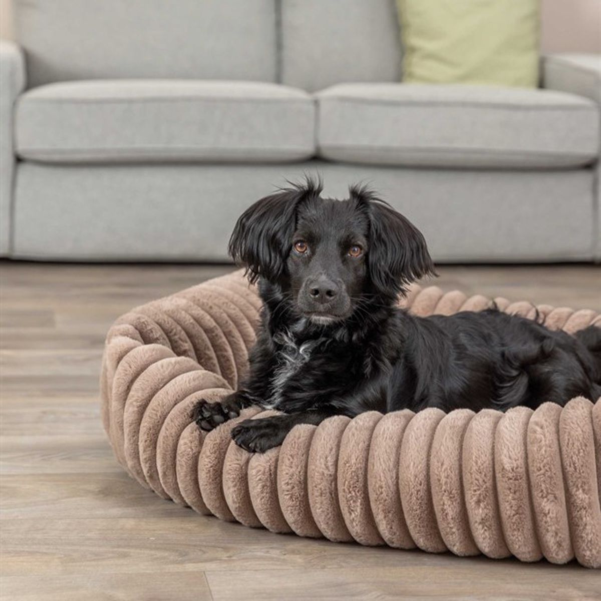 Lys brun plysj hundeseng 