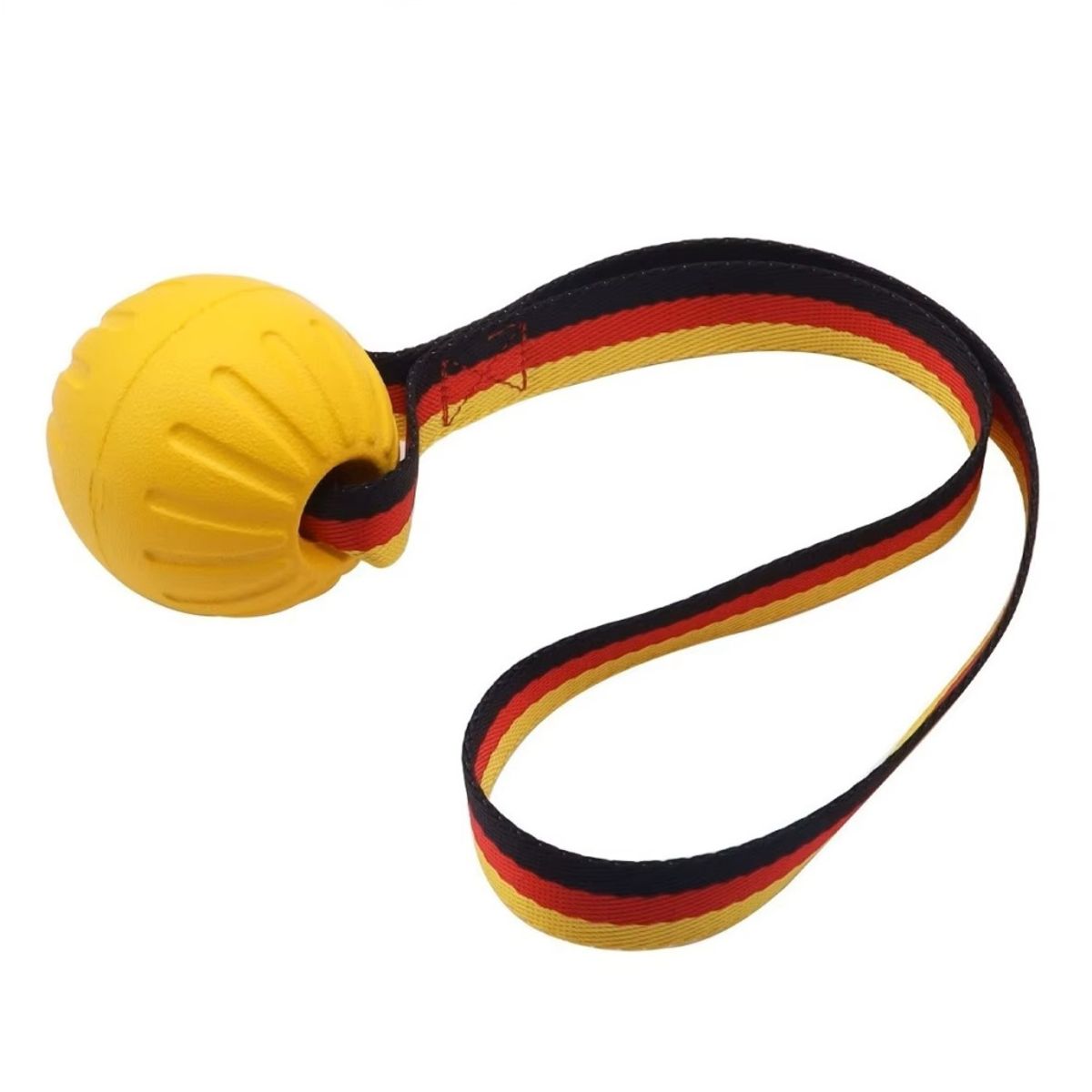 Hundeleke med rep og ball