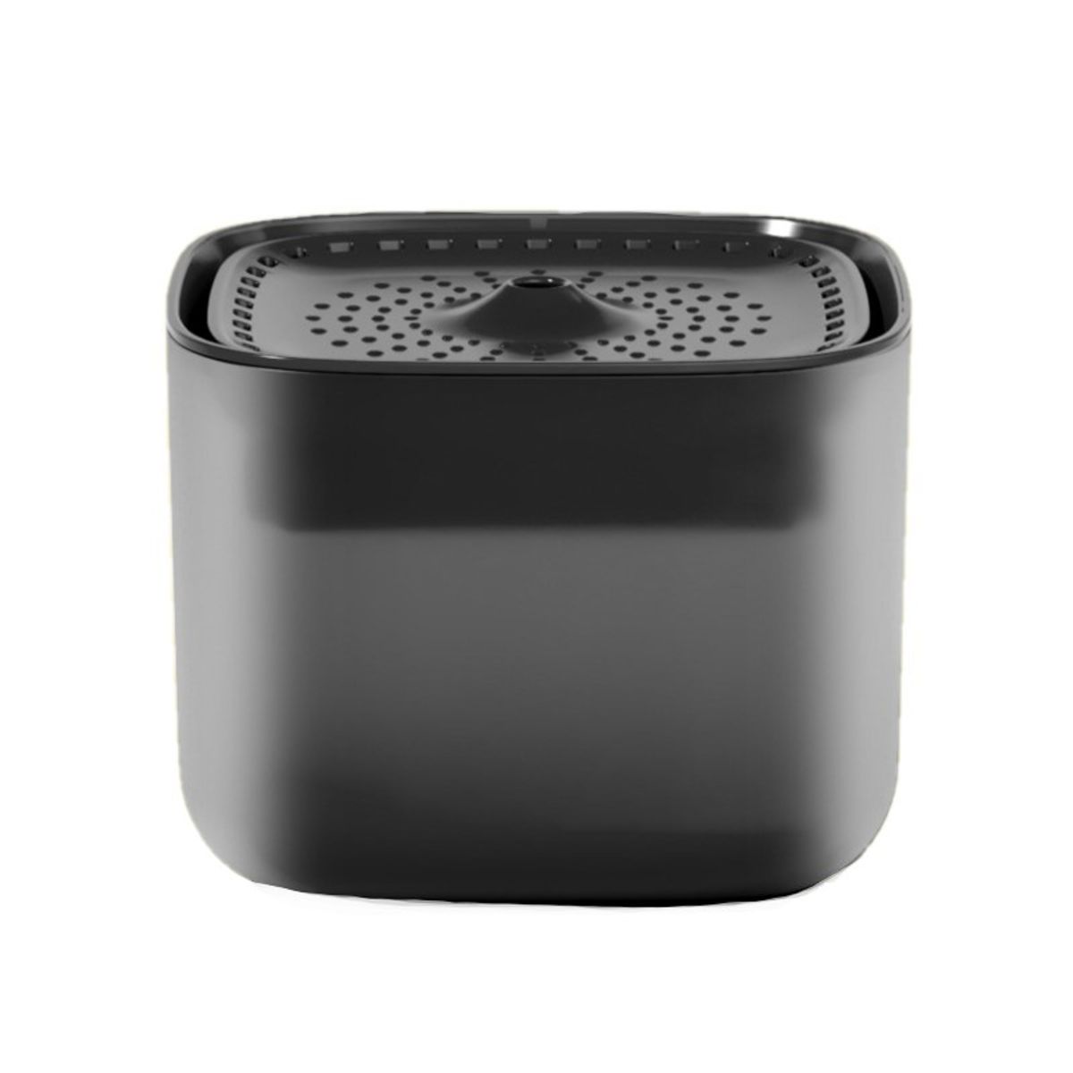 Filter til sort vannforntene - 6pk