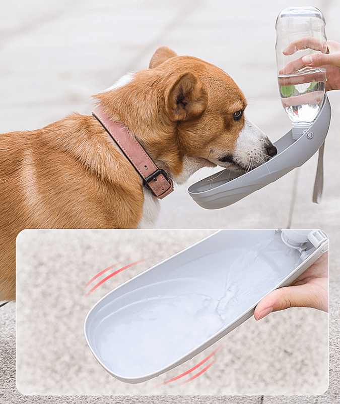 Grå enkel drikkeflaske til hund, 550ml