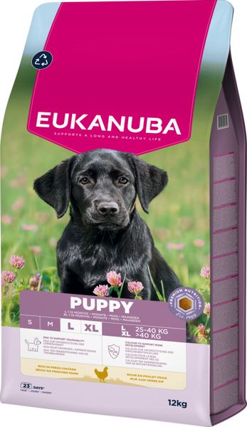 Hovedbilde Eukanuba Puppy Large Breed kylling 12 kg