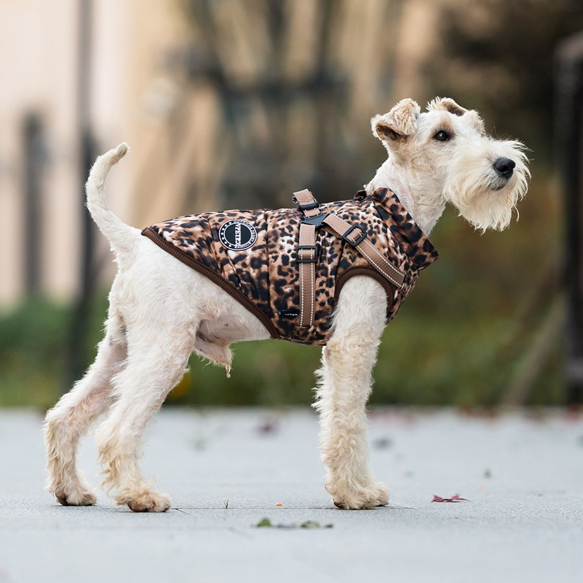Leopard print hundedekken med integrert sele