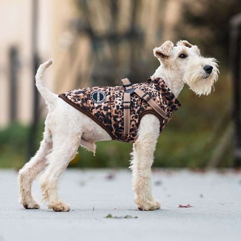 Leopard print hundedekken med integrert sele