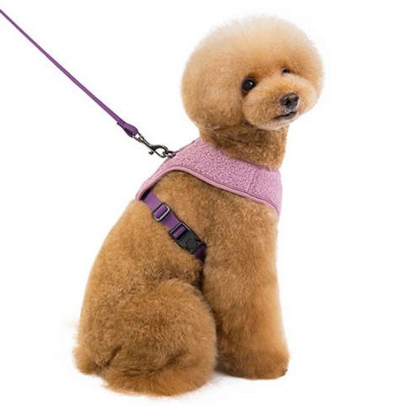 Lilla teddy hunde- og kattesele