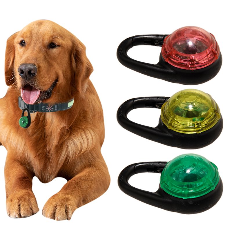 Solid Ledlys til hund