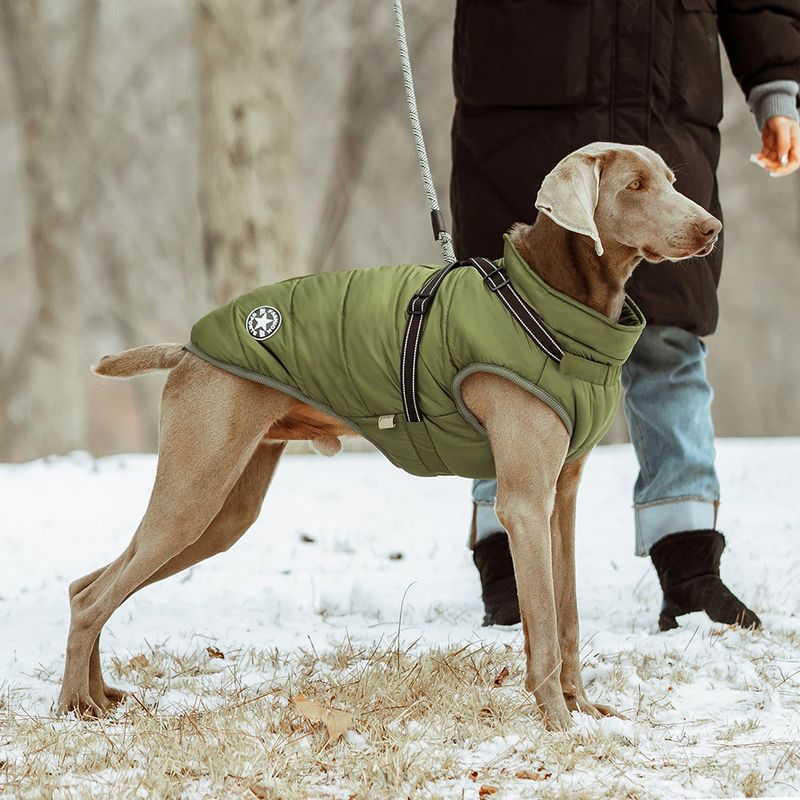 Mosegrønt hundedekken-integrert sele