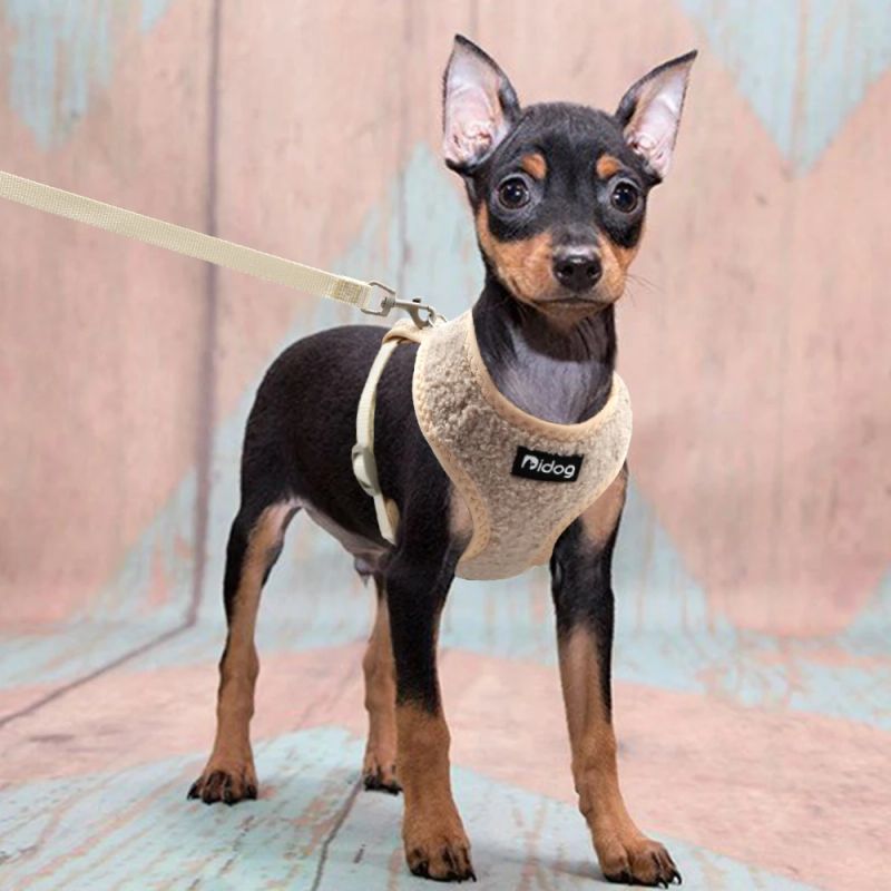 Beige Teddy hunde- og kattesele