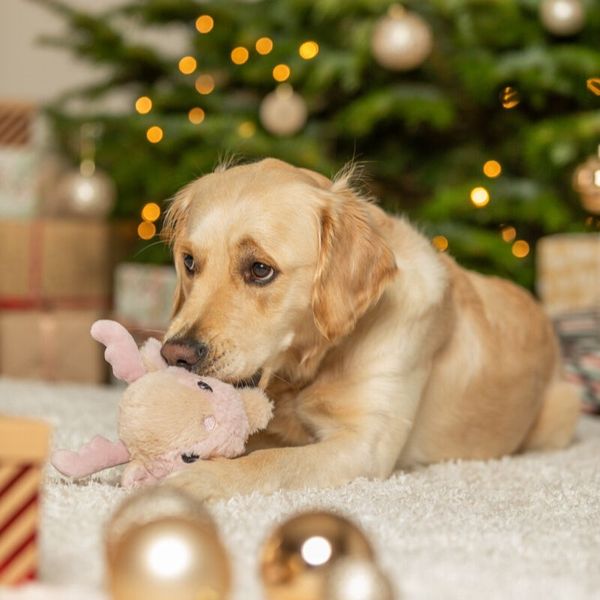 Hovedbilde Xmas Reinsdyr, plysj hundeleke