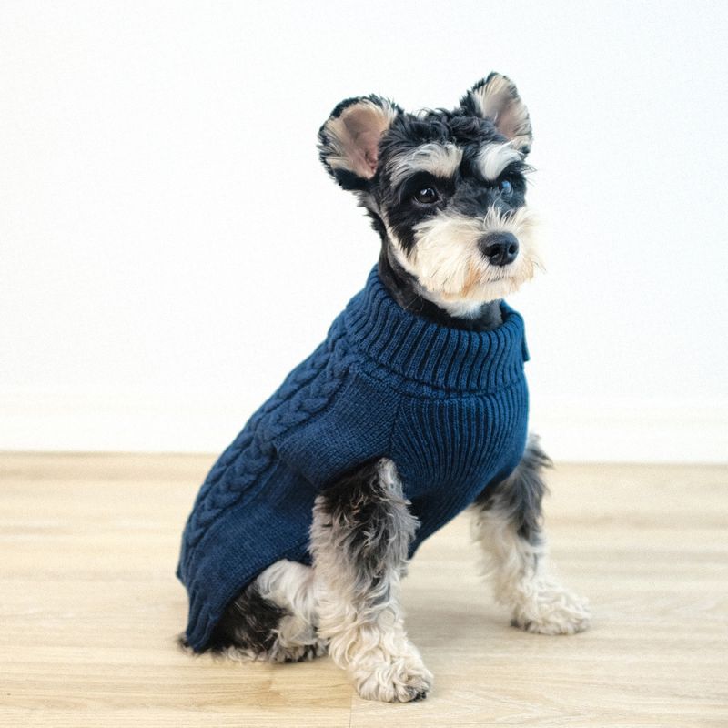 Dyp blå strikket hundegenser 