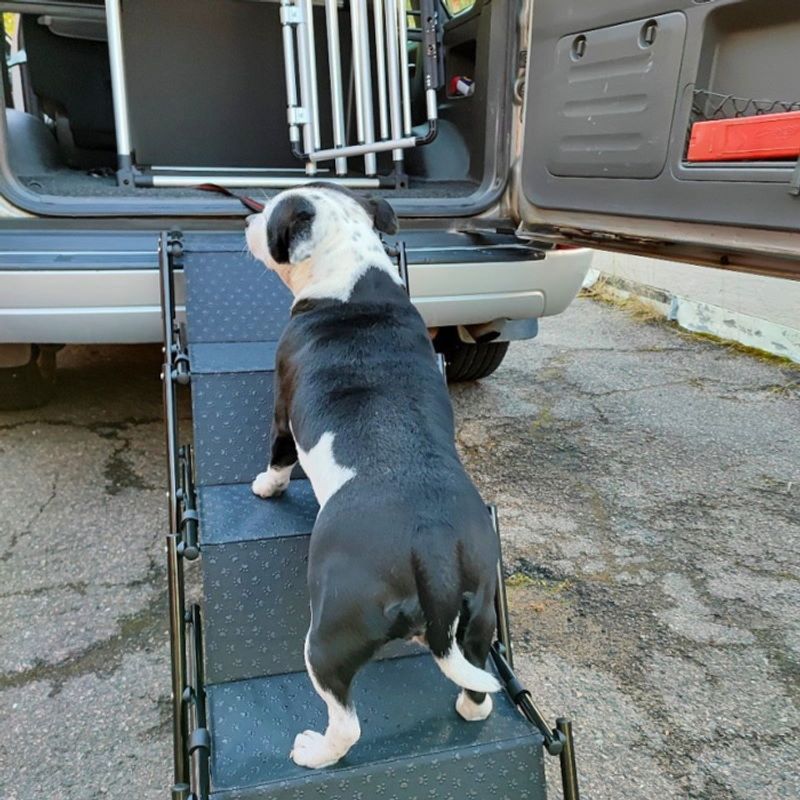Hundetrapp til bil for opptil 50kg hund