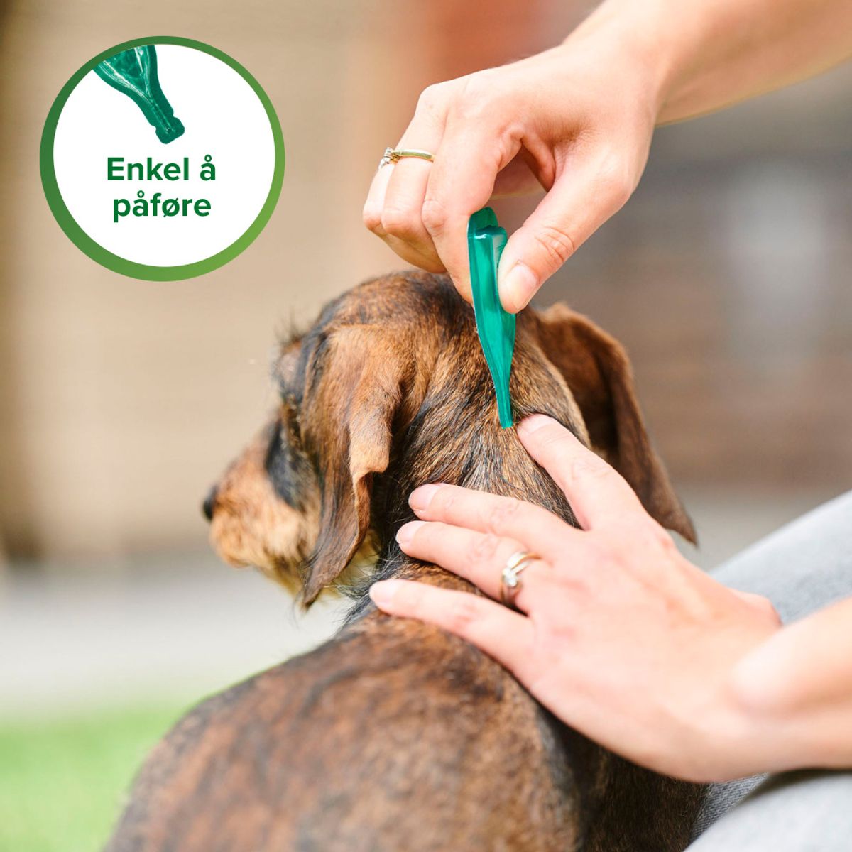 Small: Bio Spot On flått og innsektsmiddel til Hund opptil 15kg