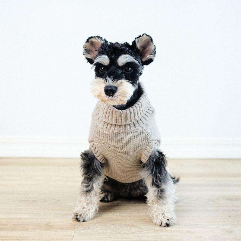 Beige strikket hundegenser 